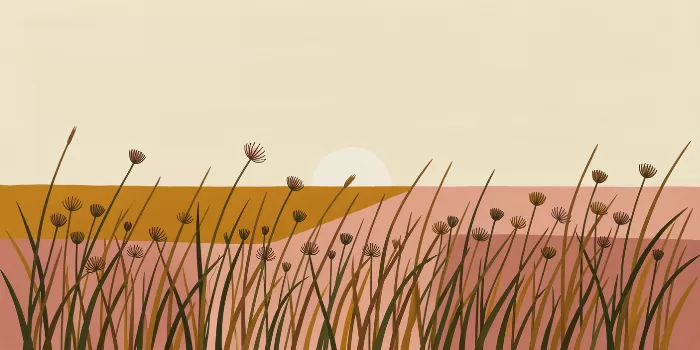 Sunlit Meadow