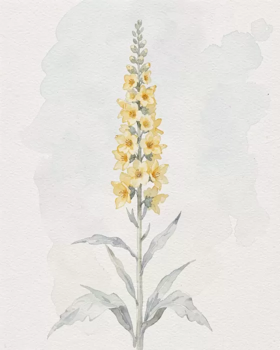 Mullein Spire