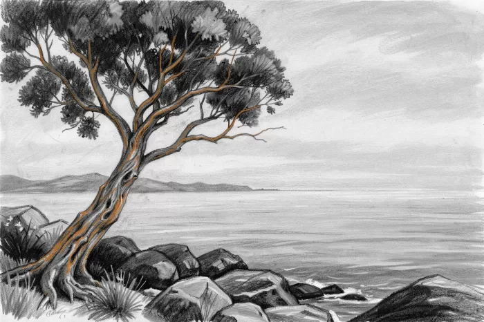 Arbutus Lean