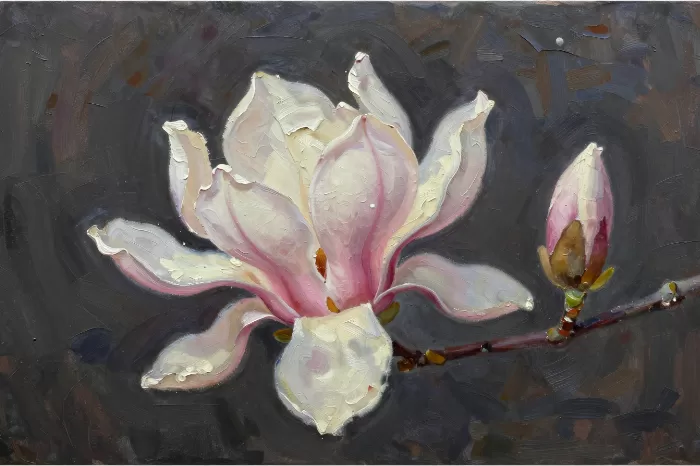 Magnolia Moonlight