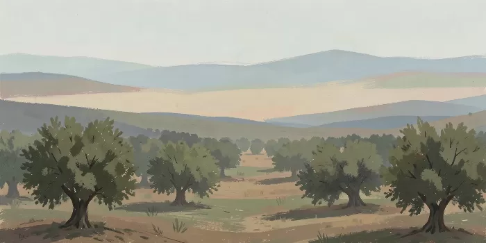 Hazy Hills