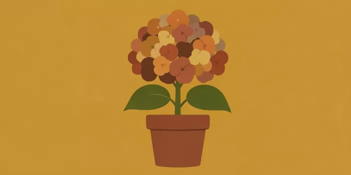 Mustard Hydrangea