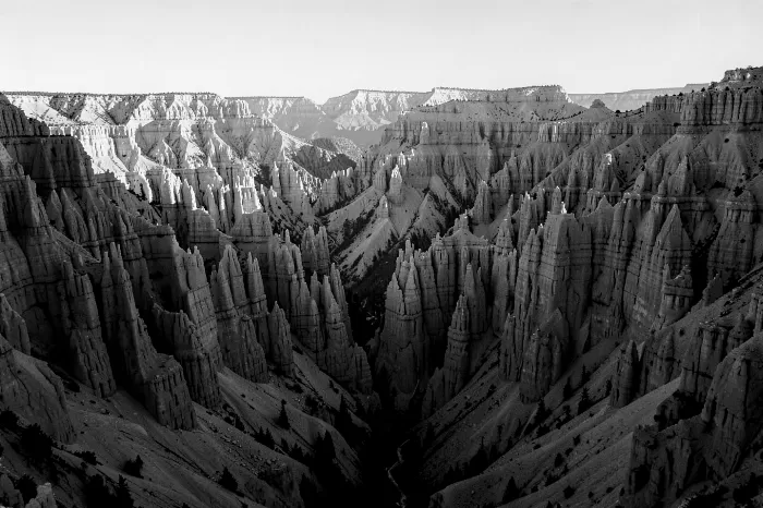 Silent City II