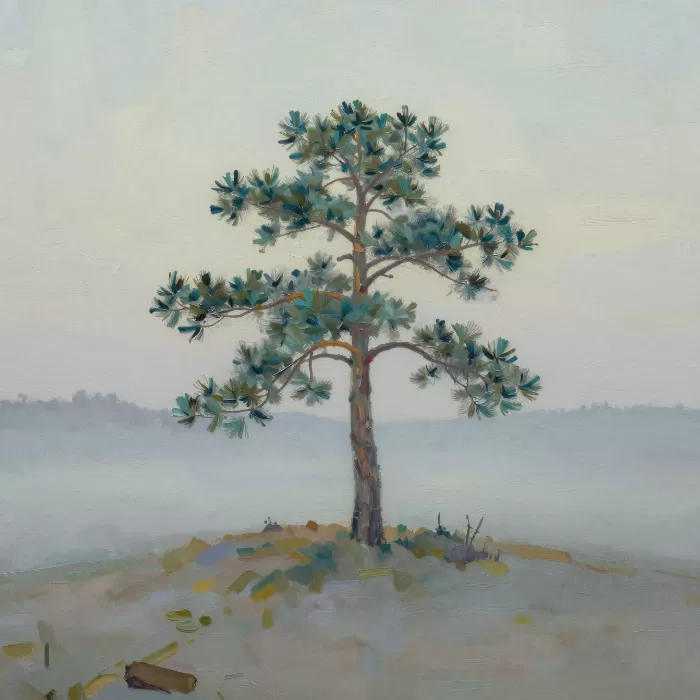 Dawn Pine
