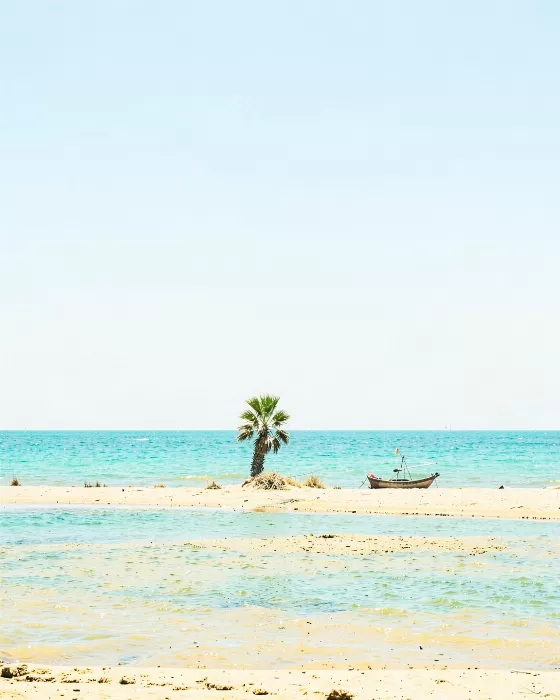 Desert Shore