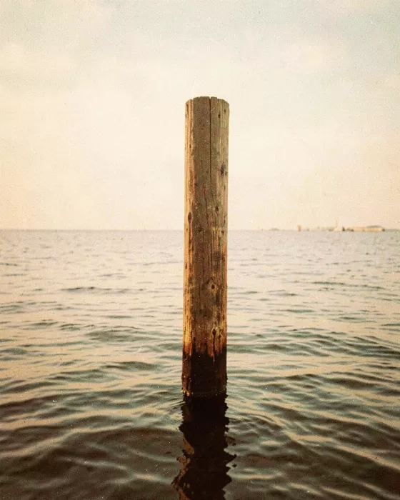 Harbour Grain