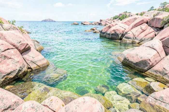 Acadia Cove