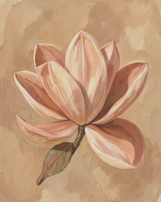 Warm Magnolia