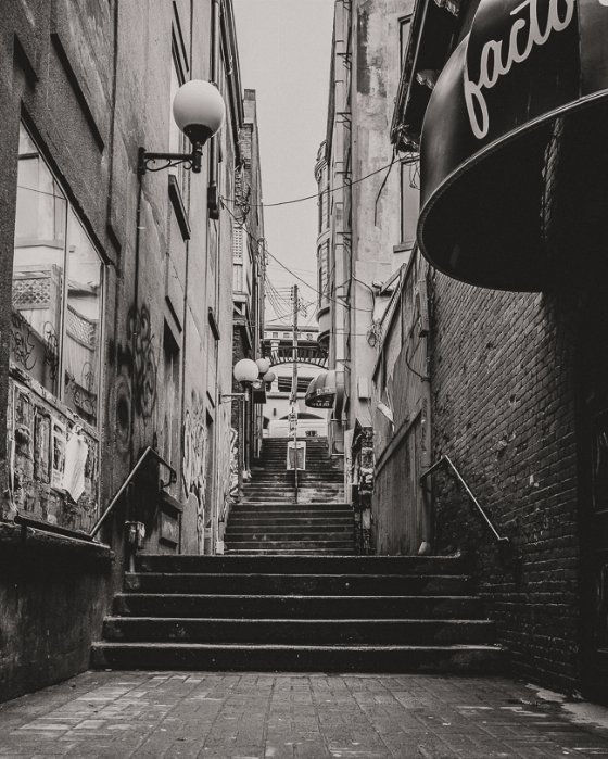 The Duke McMurdles Lane - Newfoundland art print