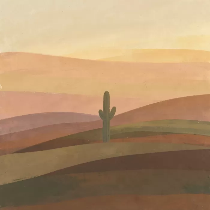 Desert Cholla