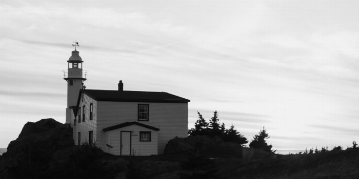 Guardian - Newfoundland art print