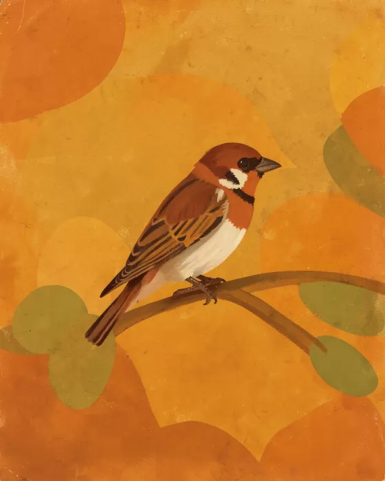 Retro Sparrow