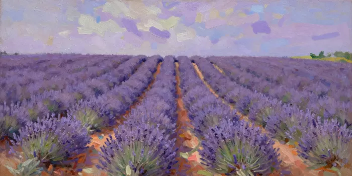 Lavender Furrows