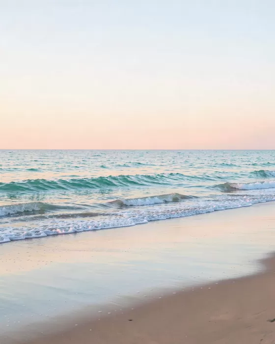 Dawn Tideline