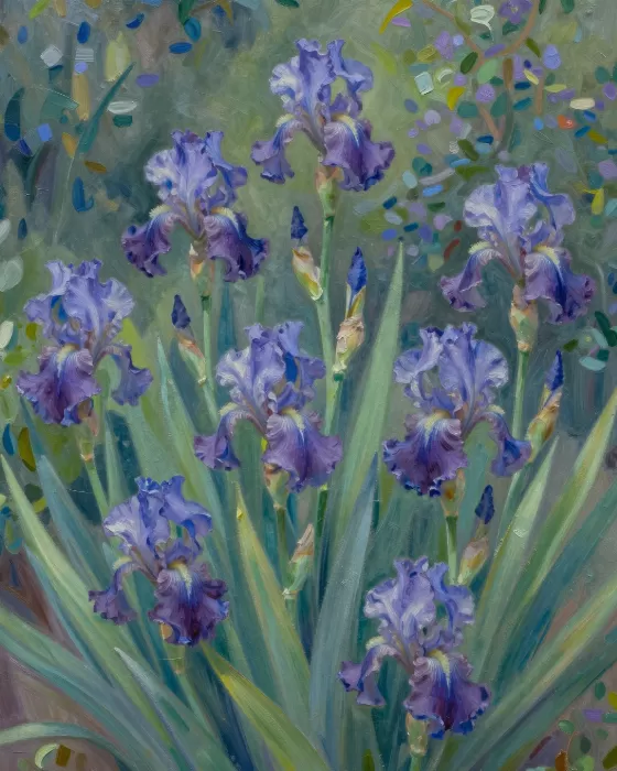Serene Irises
