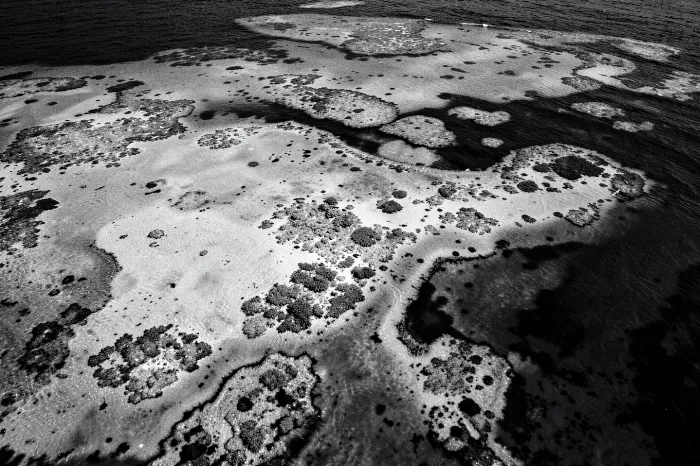 Reef Channels