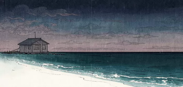 Dusky Shore