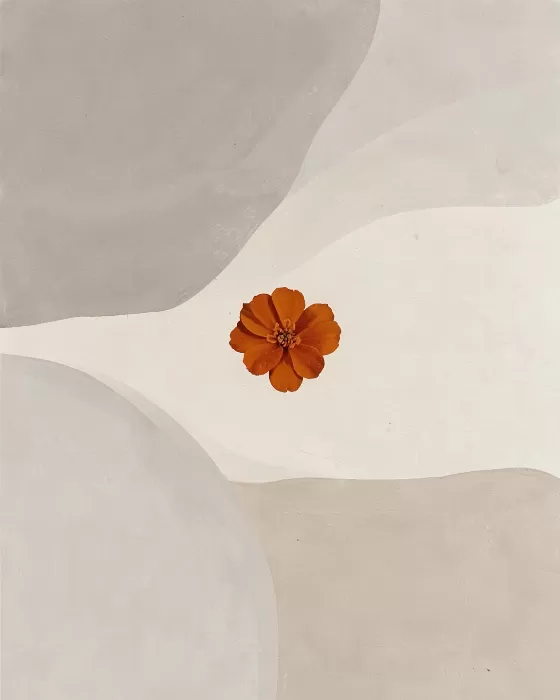 Quiet Marigold
