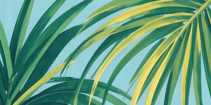 Palm Currents