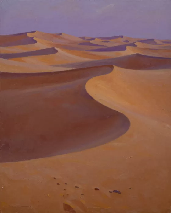 Desert Dusk IV