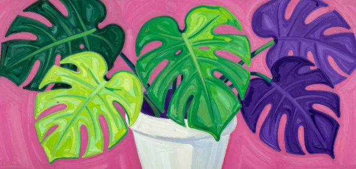 Monstera Melody