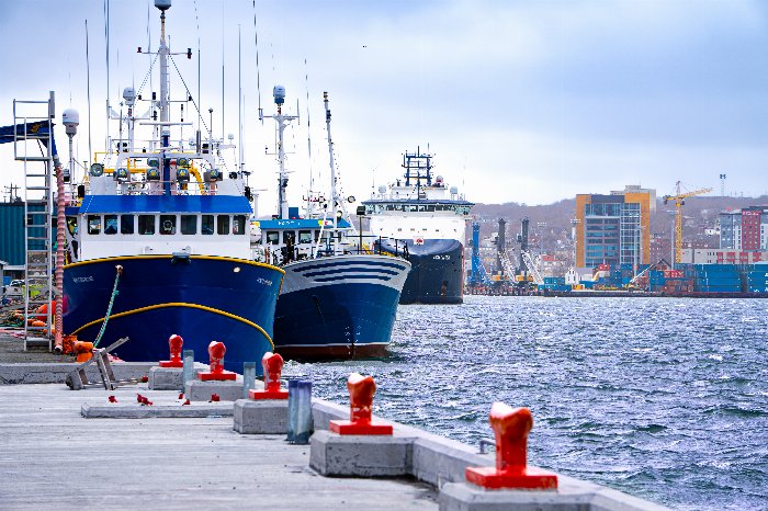 Weatherbound Blue Boats - Newfoundland art print