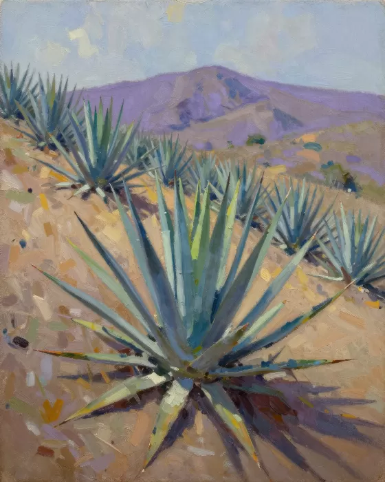 Agave Slope