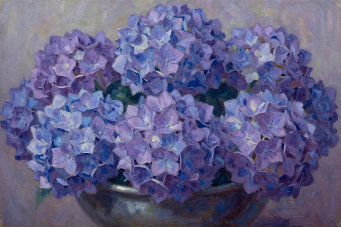 Violet Hydrangeas