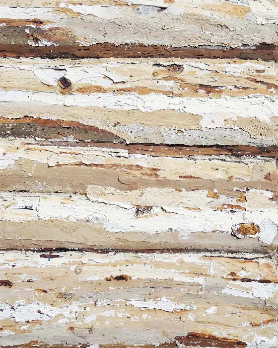 Cabin Wall