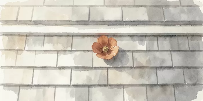 Nantucket Wall