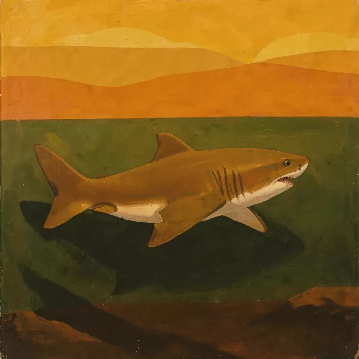 Slow Shark