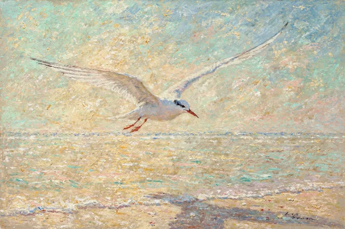 Tern Glide