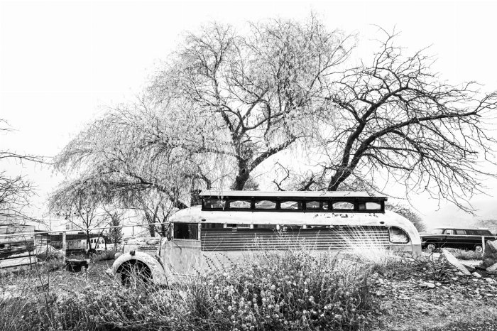 Benny's Bus - Newfoundland art print