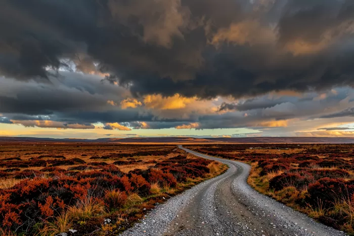 Moorland Road