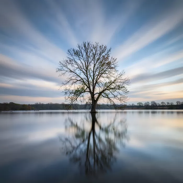 Mirrored Solitude