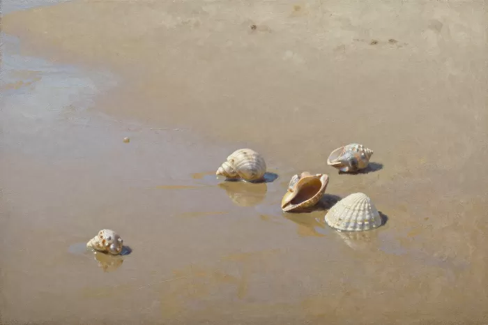 Damp Sand
