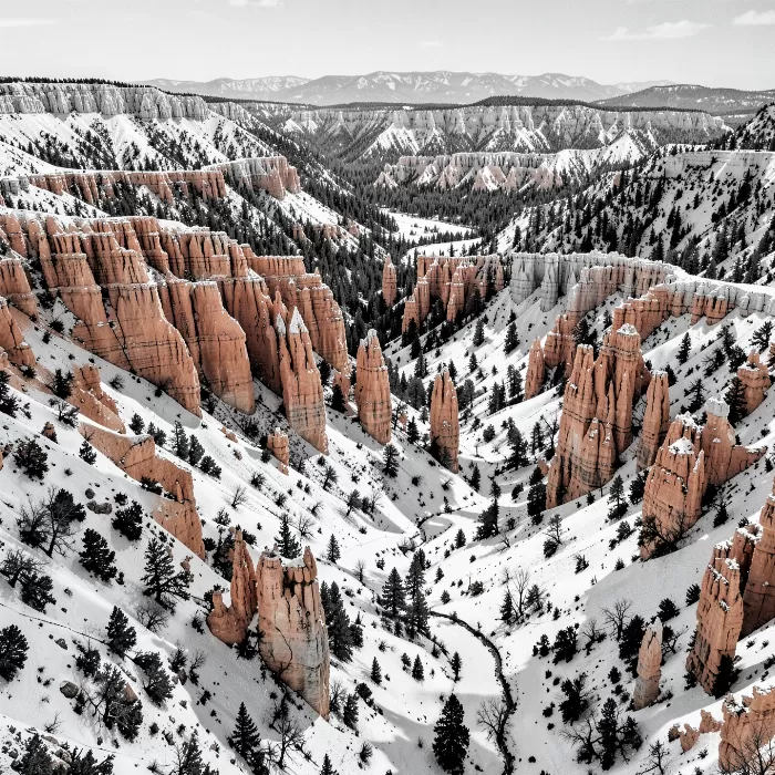 Silent Spires