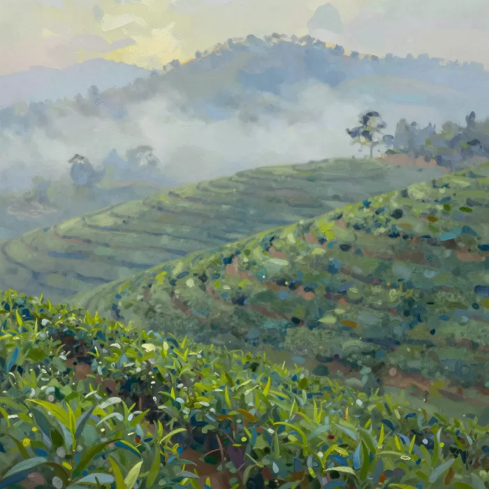 Misty Plantations