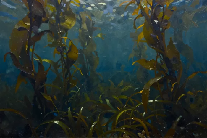 Kelp Twilight