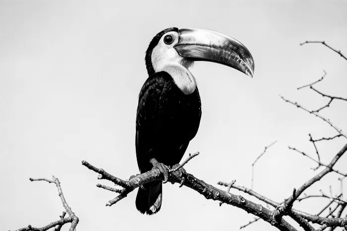 Billed Profile