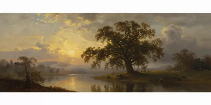 Misted Oak