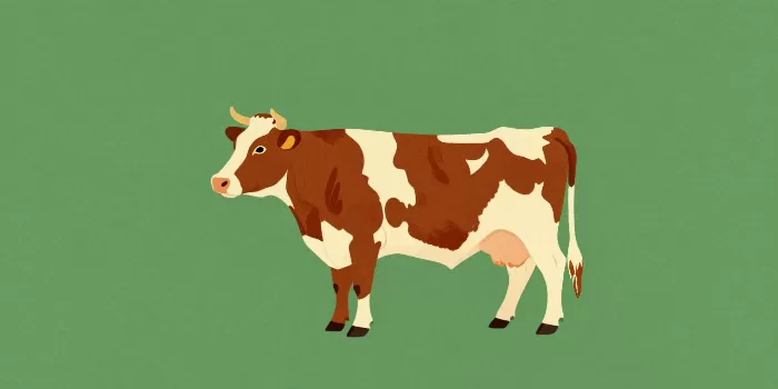 Retro Bovine
