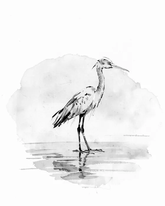 Ink Bird