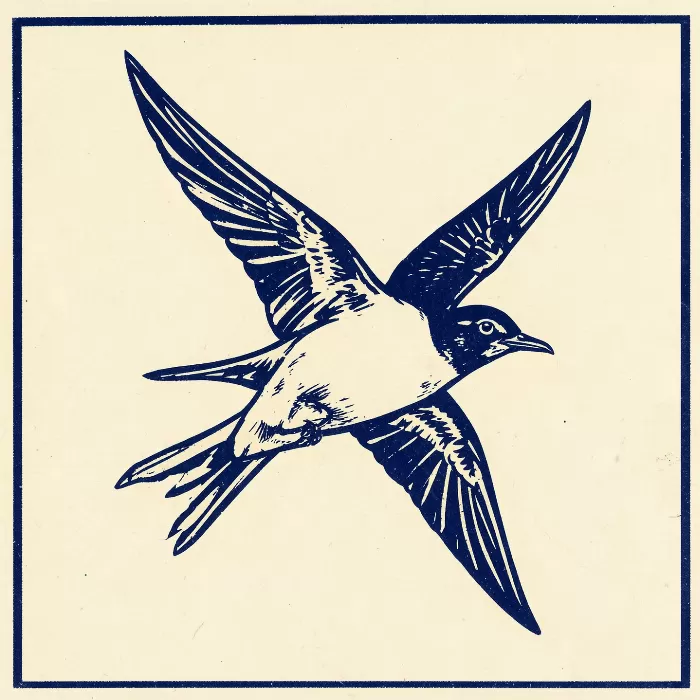 Banking Swallow