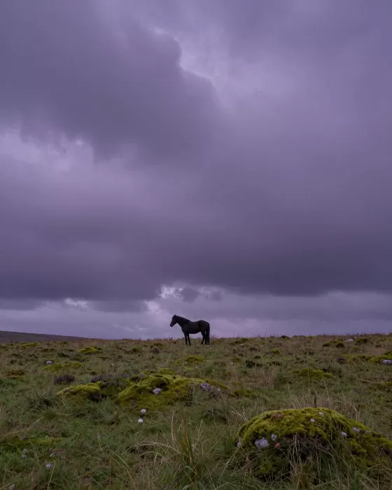 Highland Storm