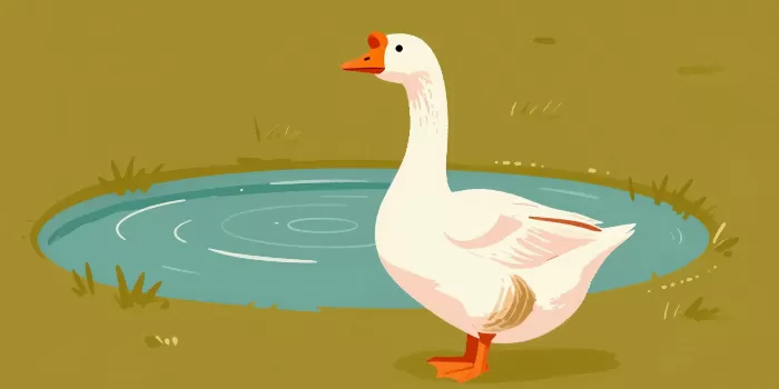 Goose & Pond