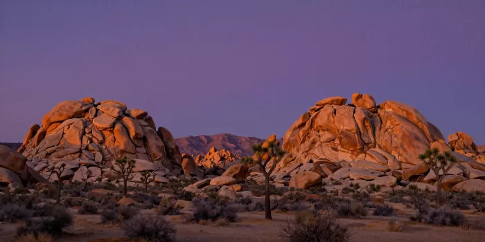 Violet Glow