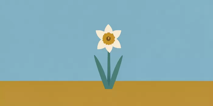 Retro Bloom