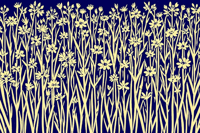 Meadow Flowers