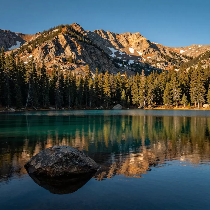 Pine Reflections